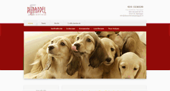 Desktop Screenshot of dierenkliniekpijnappel.nl